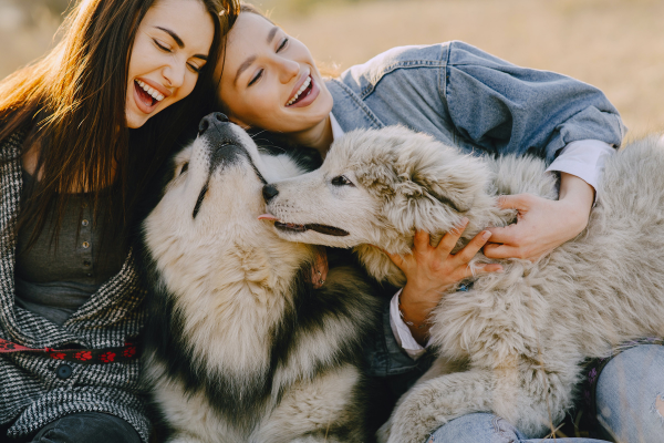 Huskies recognises each other